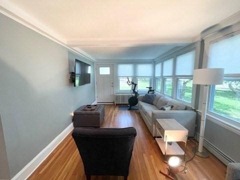 192 Salem St, Wakefield, MA 01880 - living room featuring radiator, wood finished floors, and a baseboard radiator