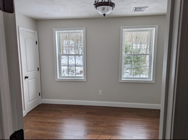 spare room with dark hardwood / wood-style floors and a wealth of natural light