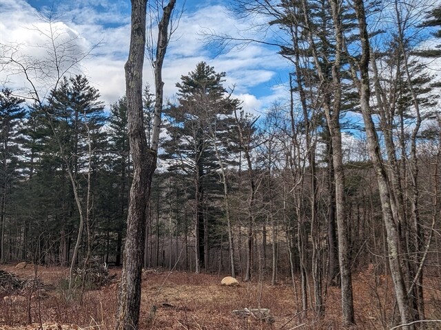 view of local wilderness