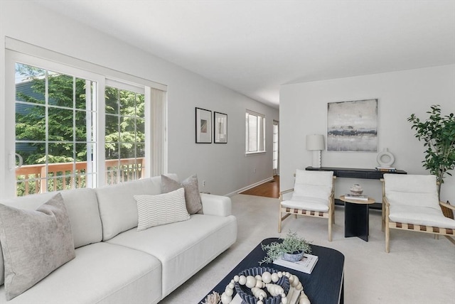 87 E Bluff Rd Unit 87, Ashland, MA 01721 - view of carpeted living room
