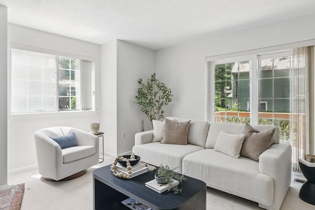 87 E Bluff Rd Unit 87, Ashland, MA 01721 - living area featuring plenty of natural light, baseboards, and carpet floors