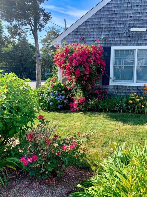 24 Park St, Bourne, MA 02559 - view of yard