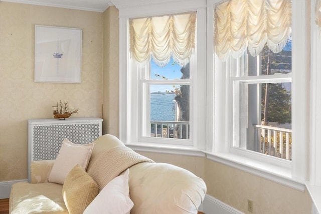 living area featuring a wealth of natural light and ornamental molding