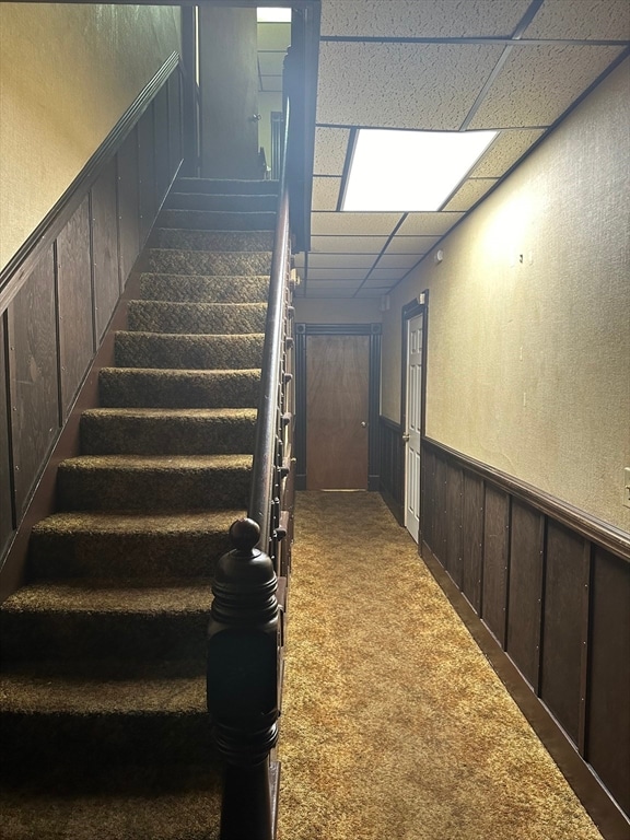 staircase with a drop ceiling and carpet floors