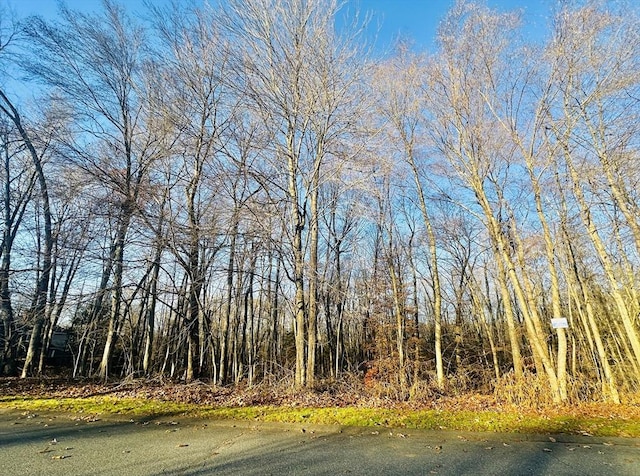 Listing photo 2 for LOT11 Ridgeview Ter, Southwick MA 01077