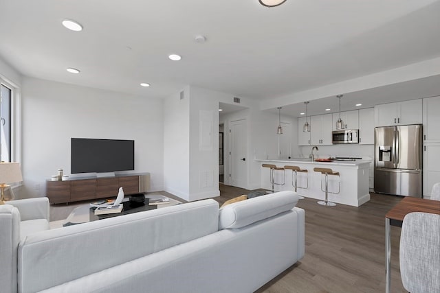 living room with wood-type flooring and sink