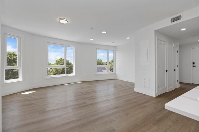 spare room featuring wood-type flooring