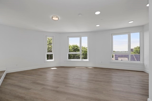 empty room featuring a wealth of natural light and wood-type flooring