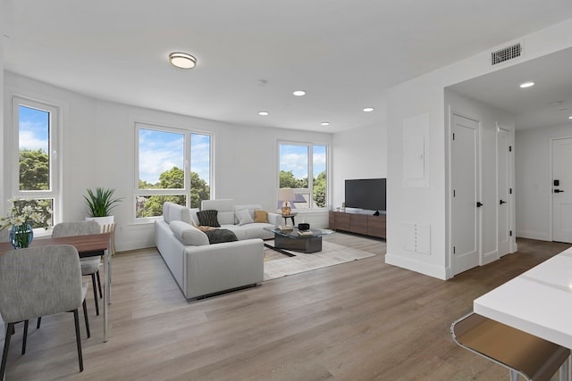 living room with light wood-type flooring