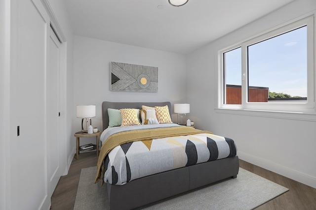 bedroom with a closet and hardwood / wood-style floors