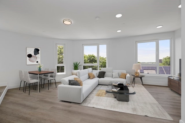 living room with light hardwood / wood-style floors