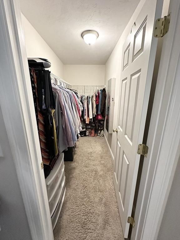 walk in closet featuring carpet floors