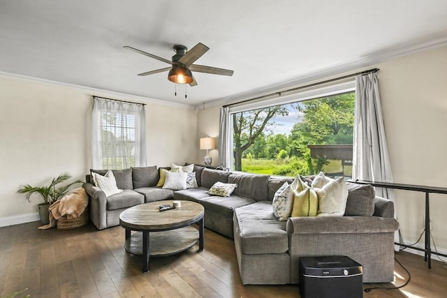 12 Boison St, Pittsfield, MA 01201 - living area featuring healthy amount of natural light, ceiling fan, crown molding, and hardwood / wood-style flooring