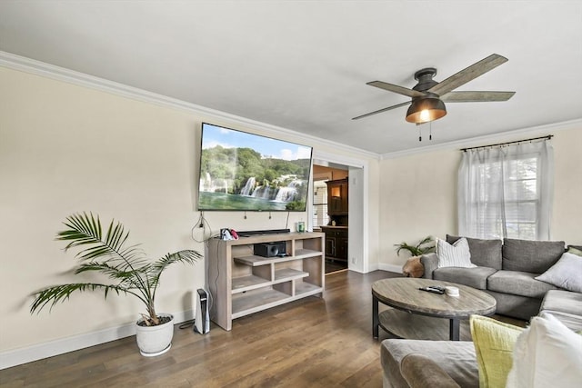 12 Boison St, Pittsfield, MA 01201 - living area with ornamental molding, wood finished floors, and ceiling fan