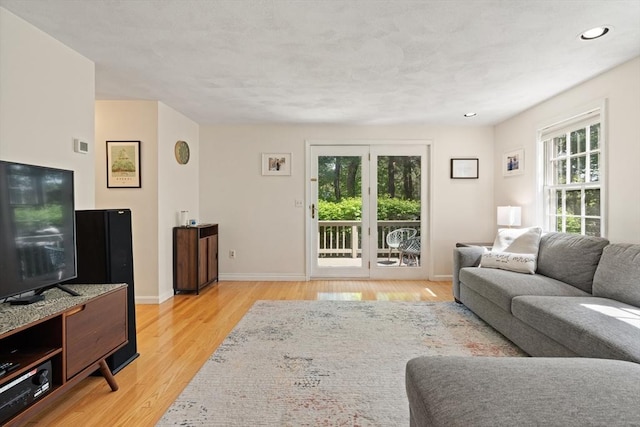9 Michael Way Unit 41, Andover, MA 01810 - living room with light wood-style flooring, recessed lighting, and baseboards