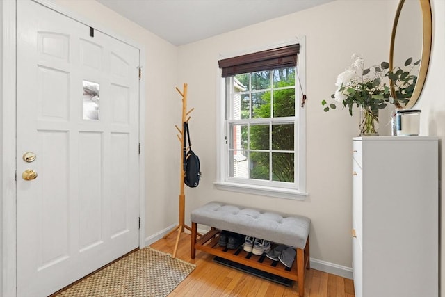 9 Michael Way Unit 41, Andover, MA 01810 - entrance foyer featuring light wood finished floors and baseboards