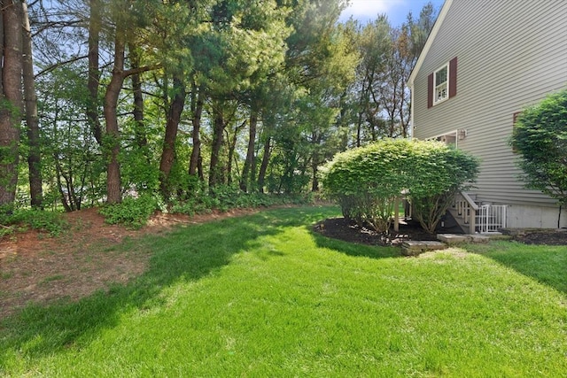 9 Michael Way Unit 41, Andover, MA 01810 - view of grassy yard