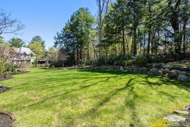 view of yard