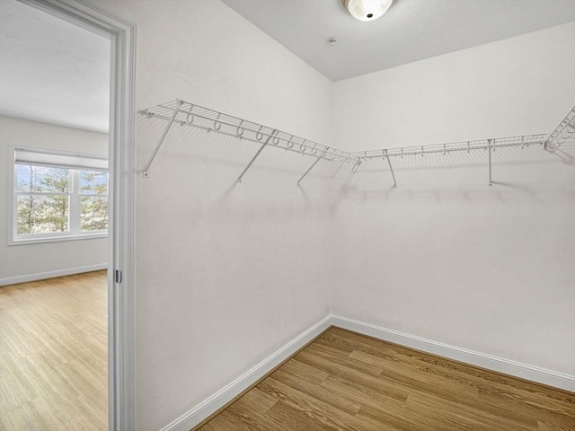 walk in closet with wood finished floors