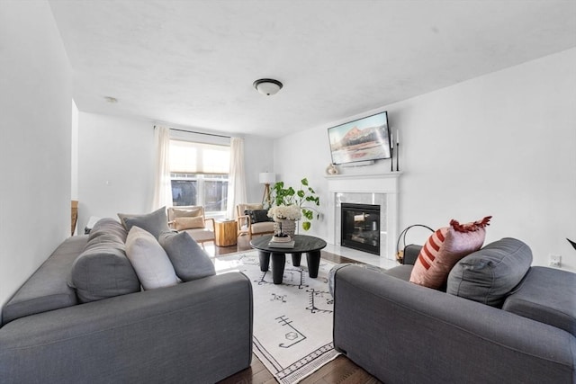 living room featuring wood-type flooring and a premium fireplace