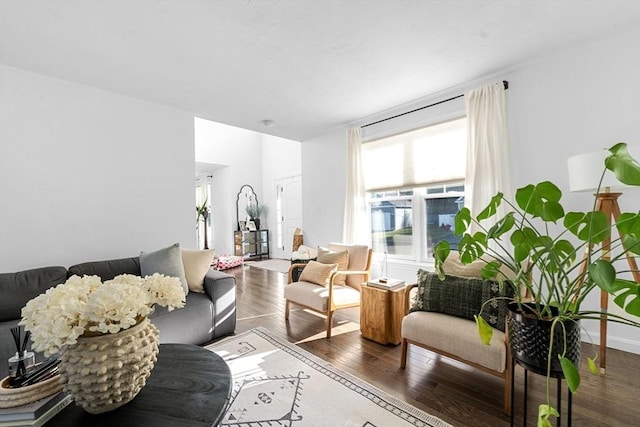 living room featuring dark wood-type flooring