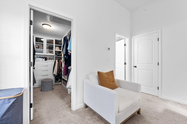 spacious closet featuring light colored carpet