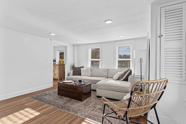 living room featuring hardwood / wood-style flooring