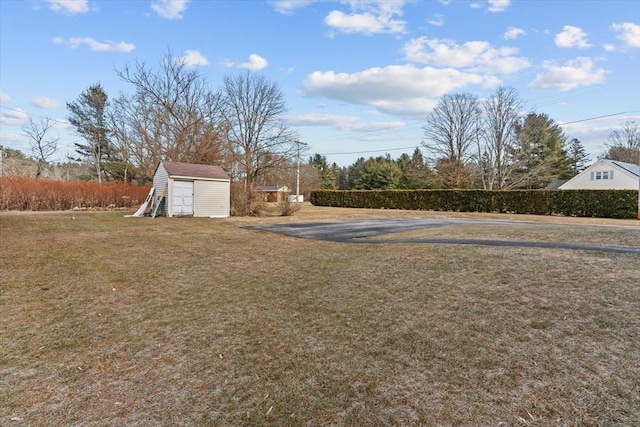 view of yard featuring a shed