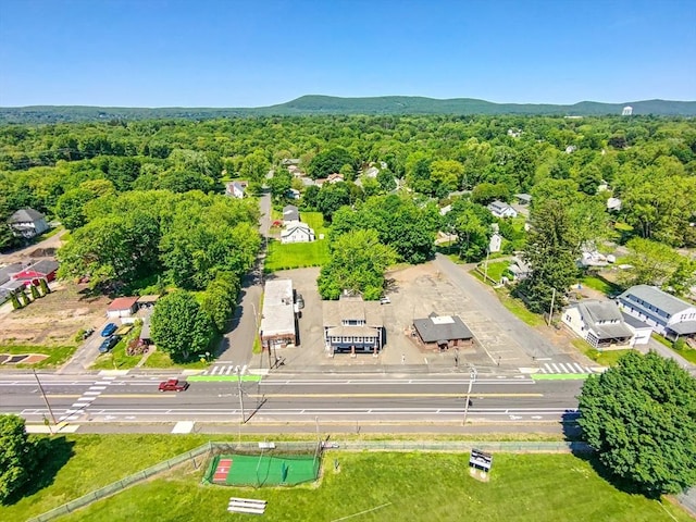 318 Newton St, South Hadley, MA 01075 - bird's eye view of a forest