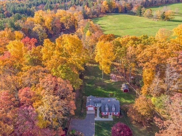 aerial view with a forest view