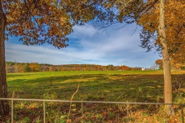 view of local wilderness featuring a view of trees