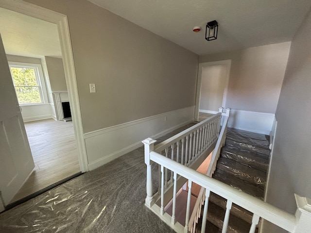 stairway featuring hardwood / wood-style floors