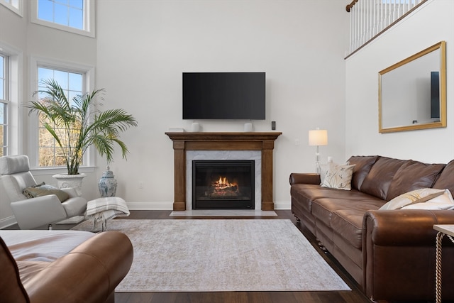 living room featuring a high ceiling and hardwood / wood-style flooring