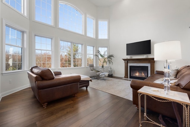 living room featuring dark hardwood / wood-style floors and a high ceiling