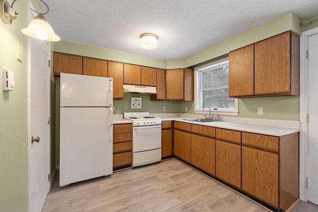 kitchen with under cabinet range hood, white appliances, a sink, light wood-style floors, and light countertops