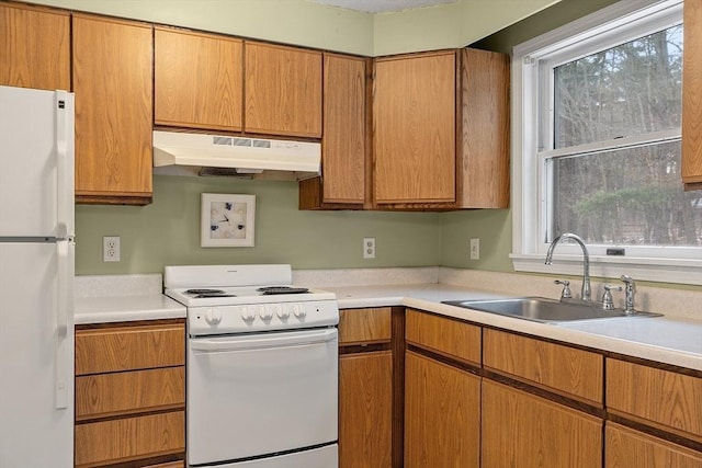 kitchen with white appliances, light countertops, a sink, and under cabinet range hood