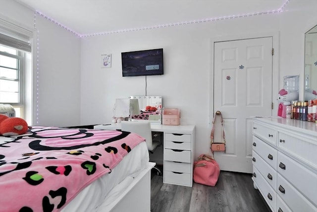 109 Macintosh Ln, Fitchburg, MA 01420 - bedroom with dark wood-type flooring