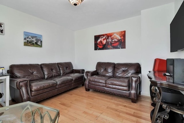 109 Macintosh Ln, Fitchburg, MA 01420 - living room featuring light wood finished floors