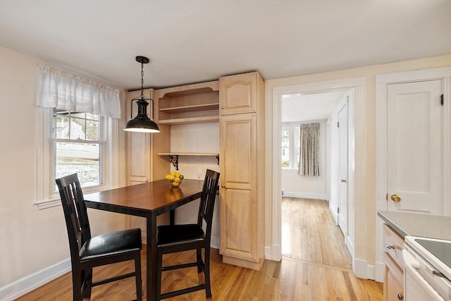 dining room with a wealth of natural light and light wood-type flooring