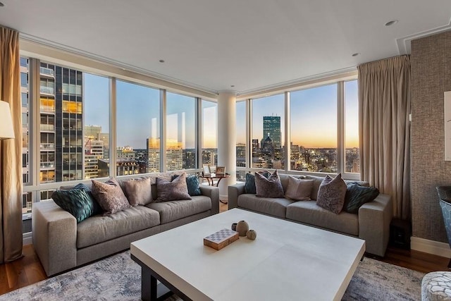 living room featuring a view of skyline and wood finished floors