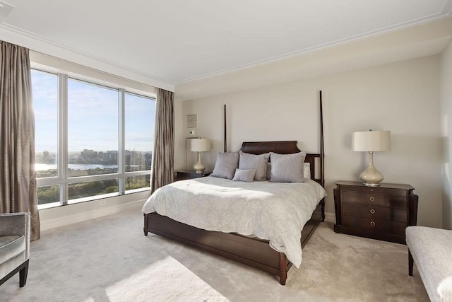 bedroom featuring light carpet, baseboards, and a water view