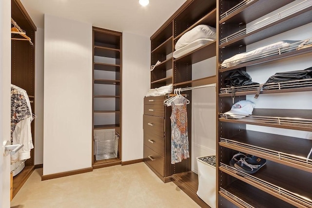 walk in closet with carpet