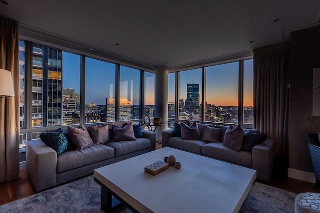 living room with a skyline view, wood finished floors, and healthy amount of natural light