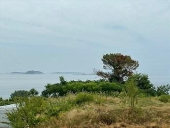 view of landscape featuring a water view