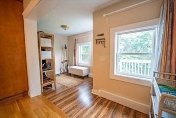 interior space featuring wood finished floors, a wealth of natural light, and baseboards