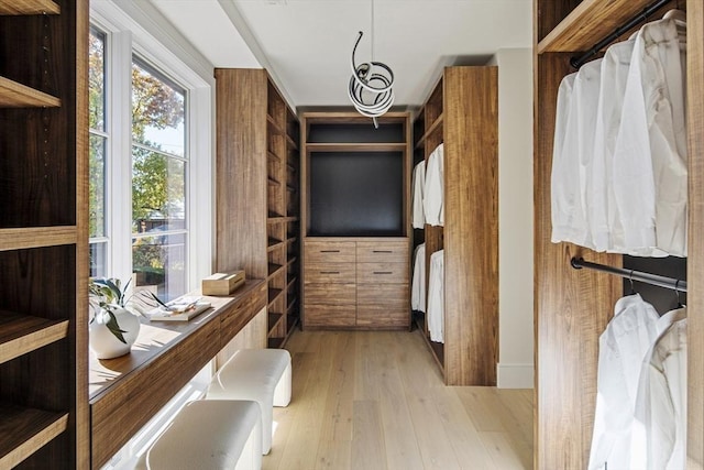 spacious closet featuring light hardwood / wood-style flooring