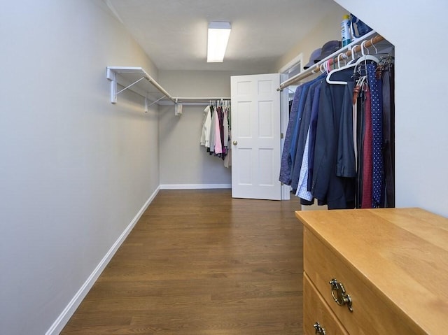 spacious closet featuring dark wood-style floors