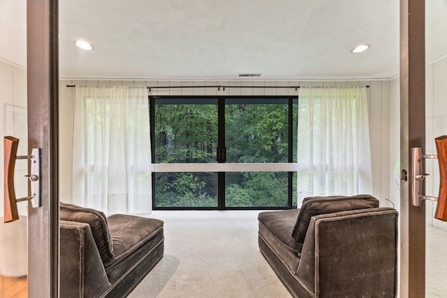 374 Great Rd Unit 10, Acton, MA 01720 - carpeted living room with healthy amount of natural light and recessed lighting