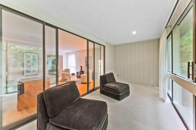 374 Great Rd Unit 10, Acton, MA 01720 - living area with recessed lighting