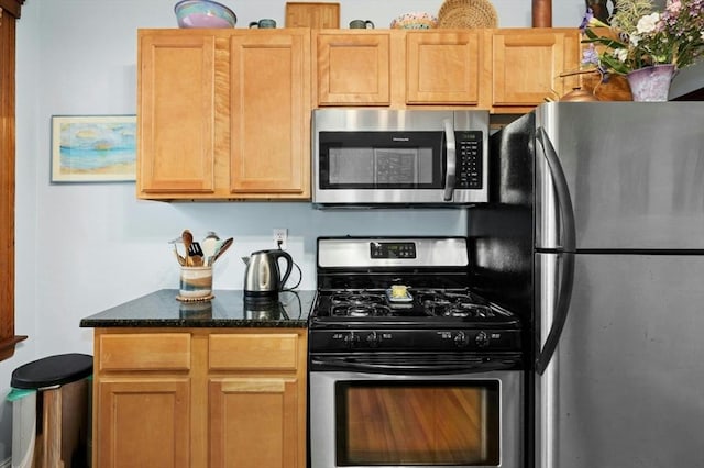kitchen featuring stainless steel appliances and dark stone countertops